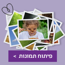 פיתוח תמונות 30.07.25 NO2