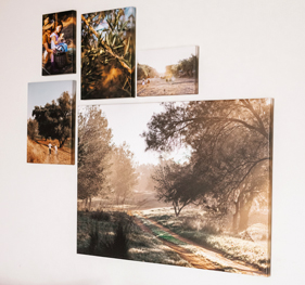 17.09.25 מחברות WOW NO2