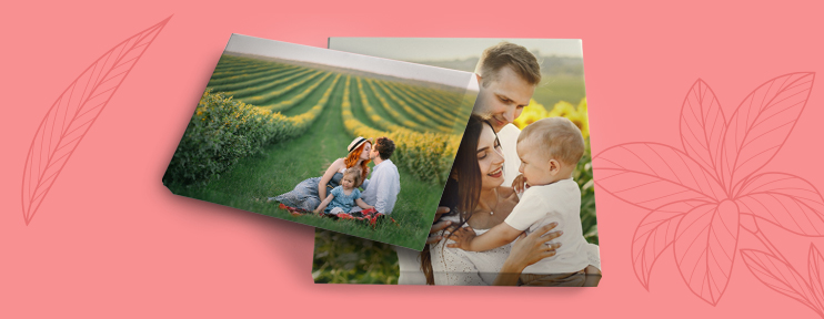  קנבסים NO1 30.07.25