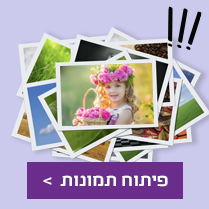 פיתוח תמונות 30.07.25 NO2